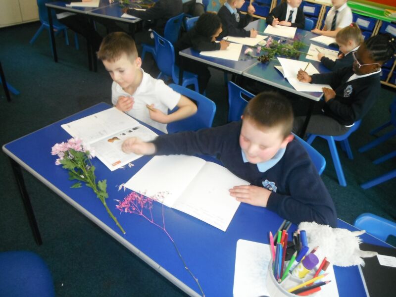 Image for the Tweet beginning: This week year 3 have