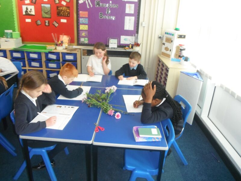 Image for the Tweet beginning: This week year 3 have