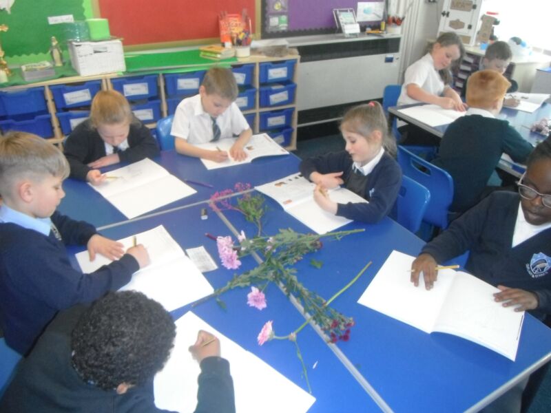 Image for the Tweet beginning: This week year 3 have